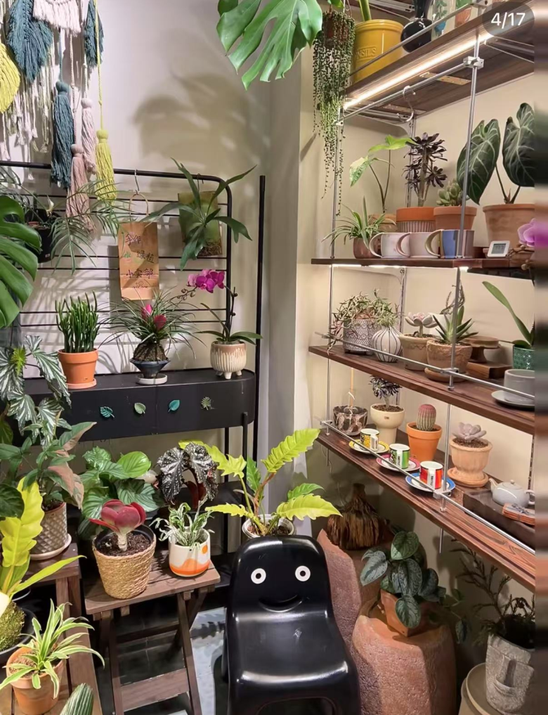 来源：小红书@一颗羊咩咩