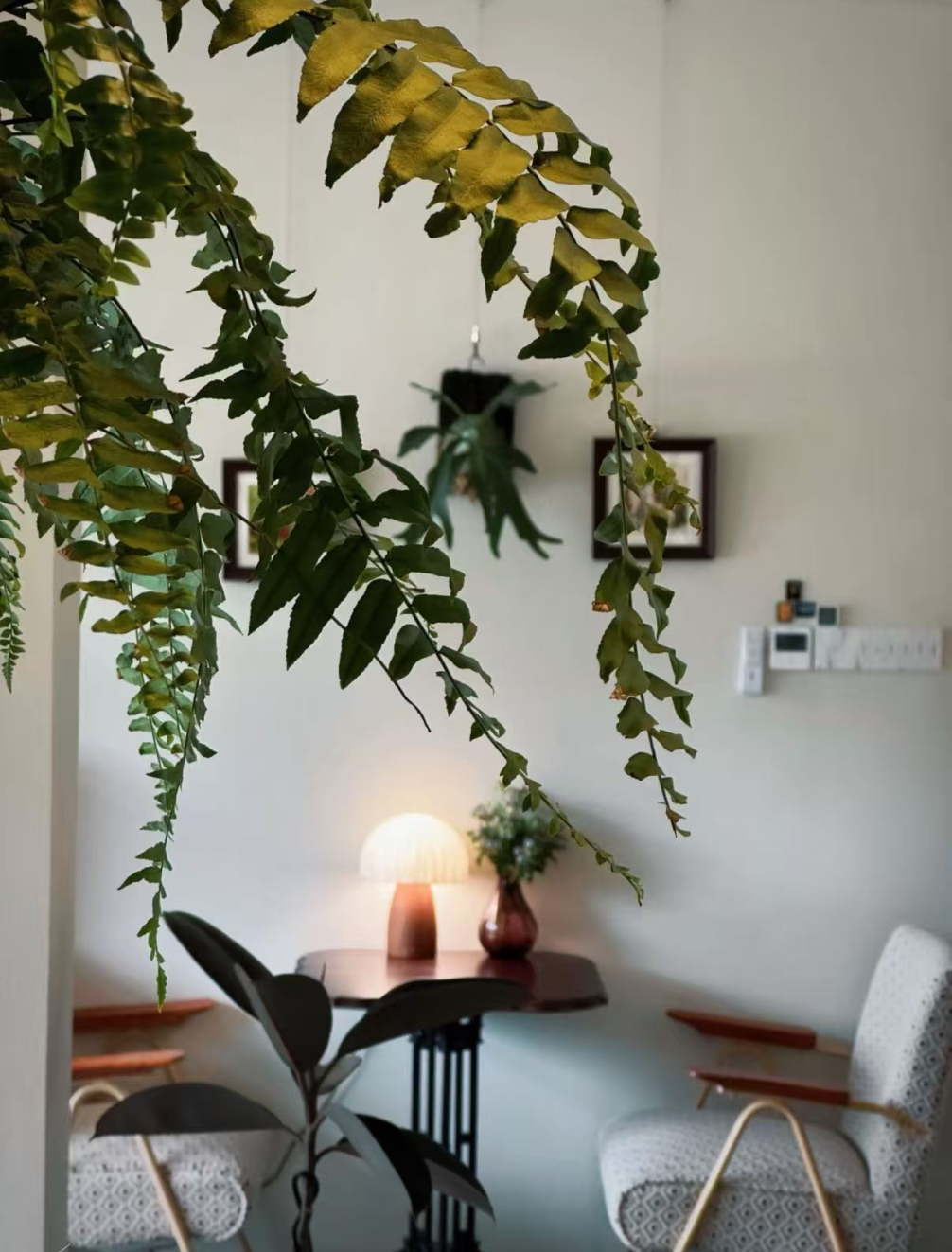 来源：小红书@+1add one