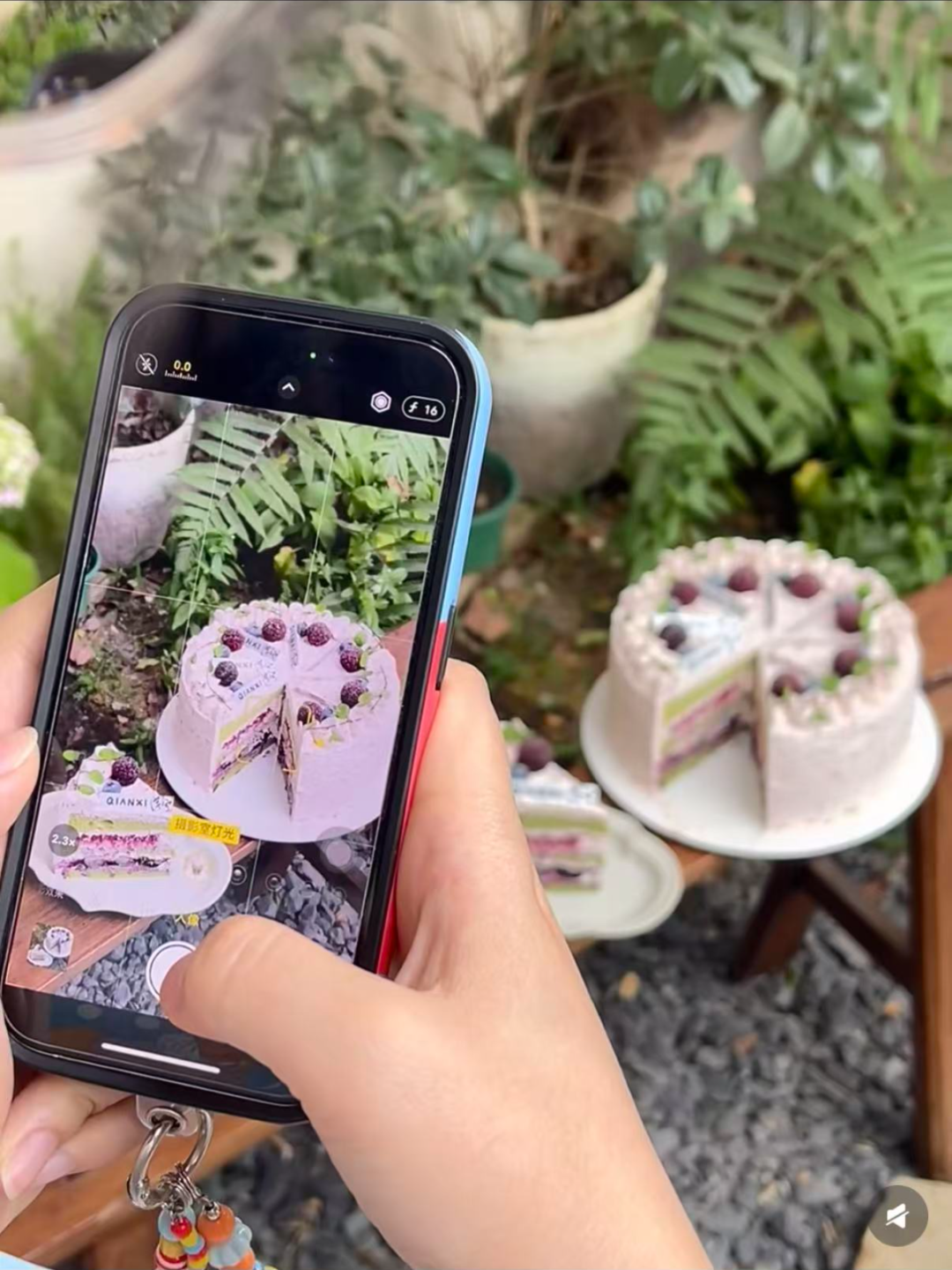 图源：小红书@芊兮_QIANXI