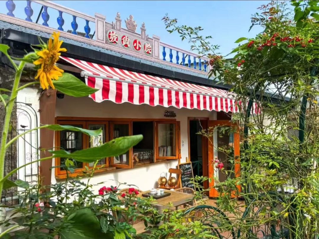 图源：小红书@坡尚小院