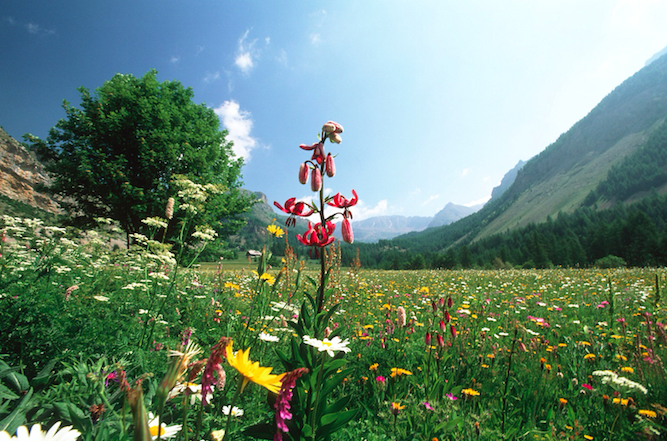 法国蔚蓝海岸｜贴近自然的治愈之旅