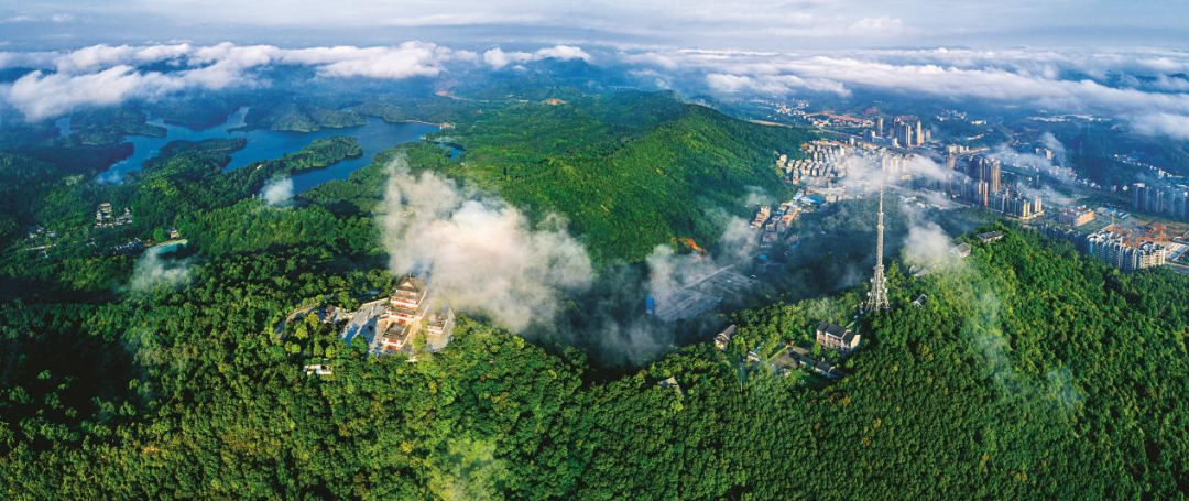 春节假期一起来玩转广东5a级景区