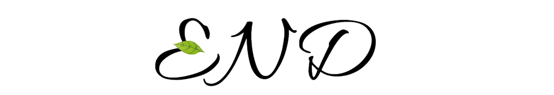 深圳國際學校有哪些_深圳國際學校排名top10_國際學校深圳