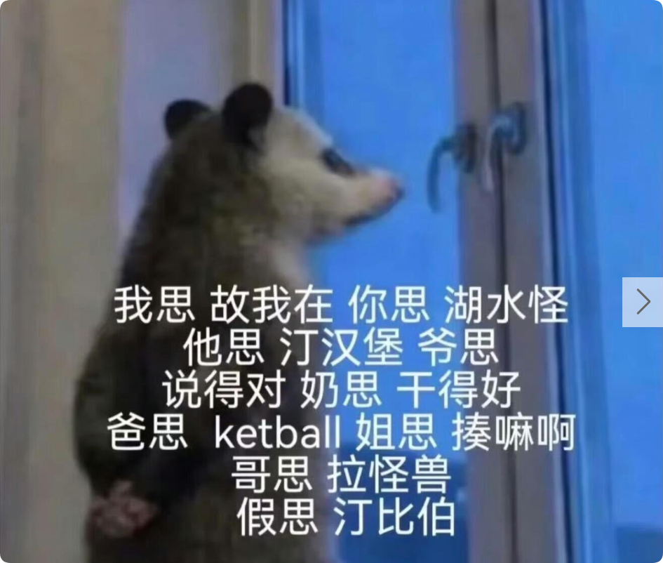 双语阅读：背手负鼠表情包为什么火了？