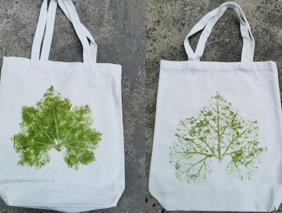 自然教育季在清新白湾体验植物拓染一起敲敲留住大自然