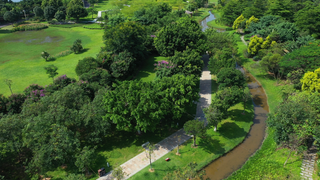 世界工厂尽显绿美本色东莞发力打造湾区绿心