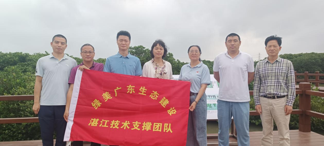 湛江市基本情况湛江地处我国大陆最南端,红树林面积约6400公顷,立足