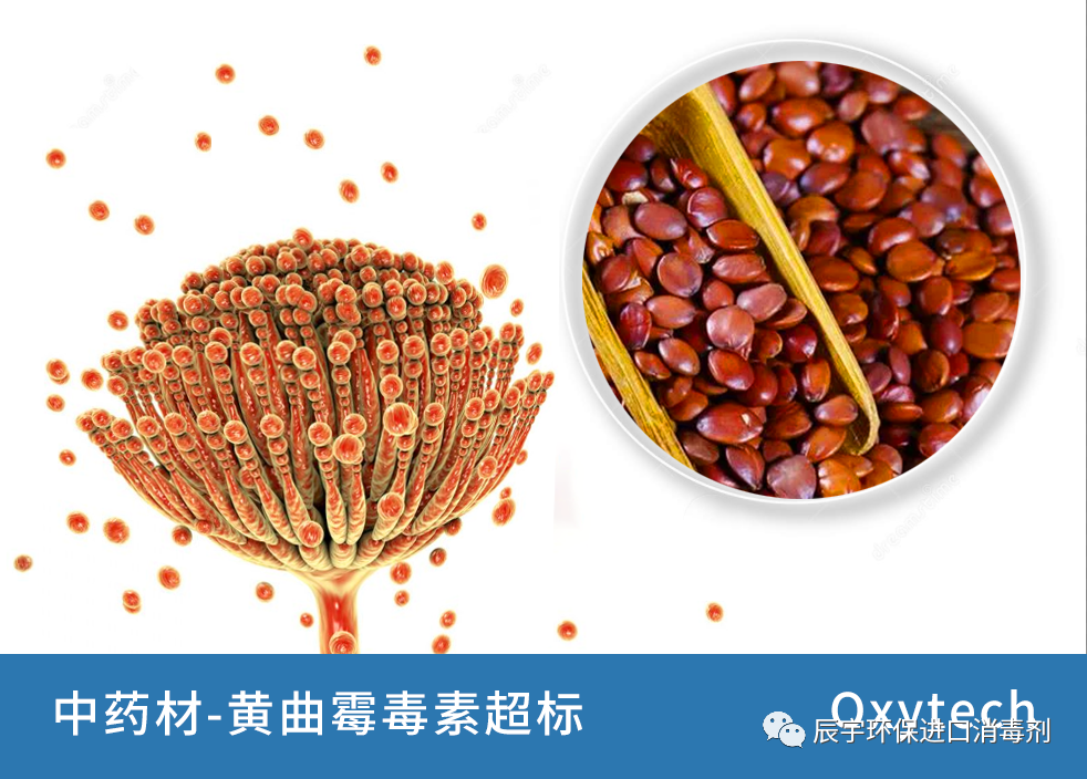中药材黄曲霉毒素超标如何降解