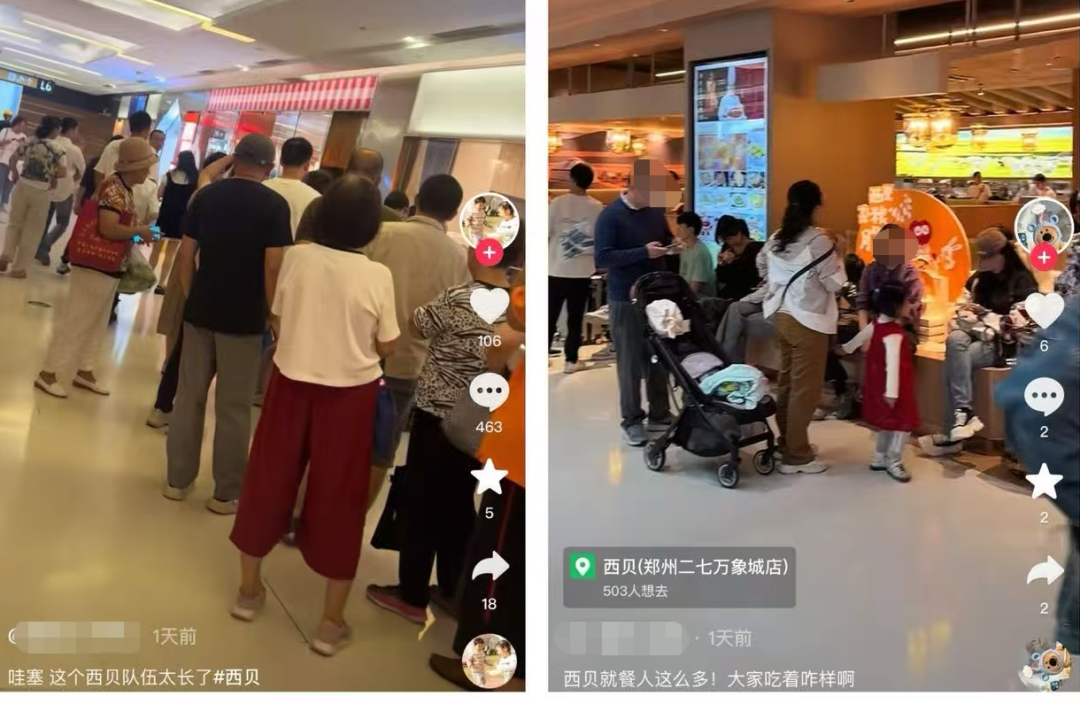 西贝厨师说生鸡内脏被下水道冲走了