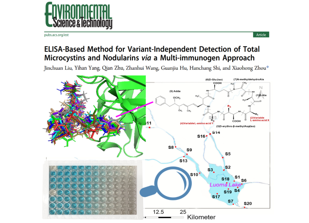 清华大学周小红团队es T 基于复合免疫原方法实现水中总微囊藻毒素和节球藻毒素检测的elisa方法 全网搜