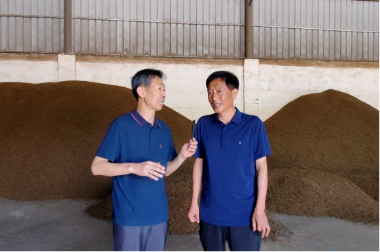 那些产业发展的人和事---连翘记忆（五）