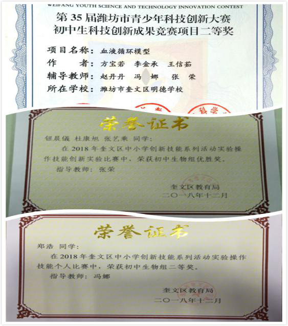 世间有爱是什么意思_世间万物生灵皆有爱什么意思_世间生物皆有爱