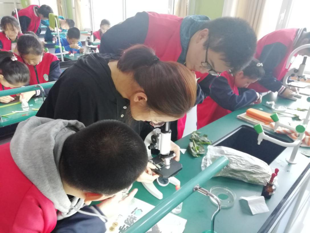 世间万物生灵皆有爱什么意思_世间有爱是什么意思_世间生物皆有爱