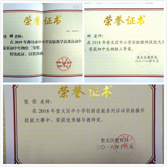 世间有爱是什么意思_世间万物生灵皆有爱什么意思_世间生物皆有爱