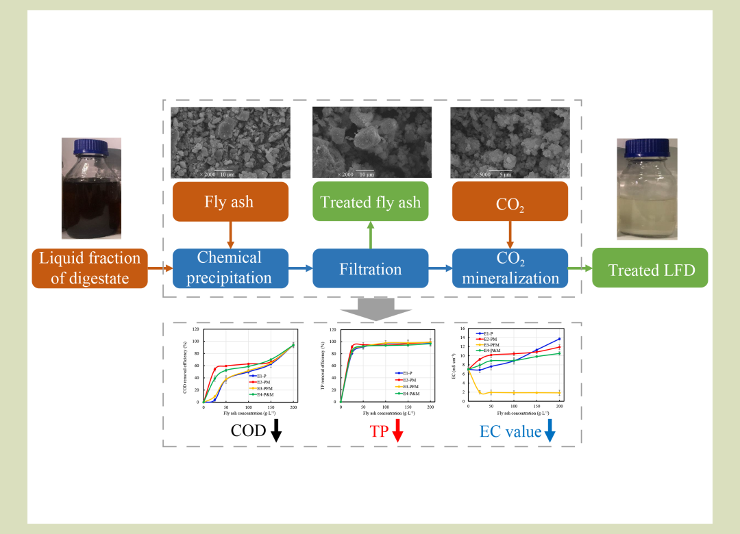 fase | 前沿研究:化學沉澱63co2礦化耦合高效去除