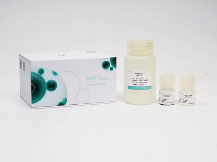 普諾賽細胞學堂 | 外泌體分離指南：五大方法對比，選對效率翻倍！