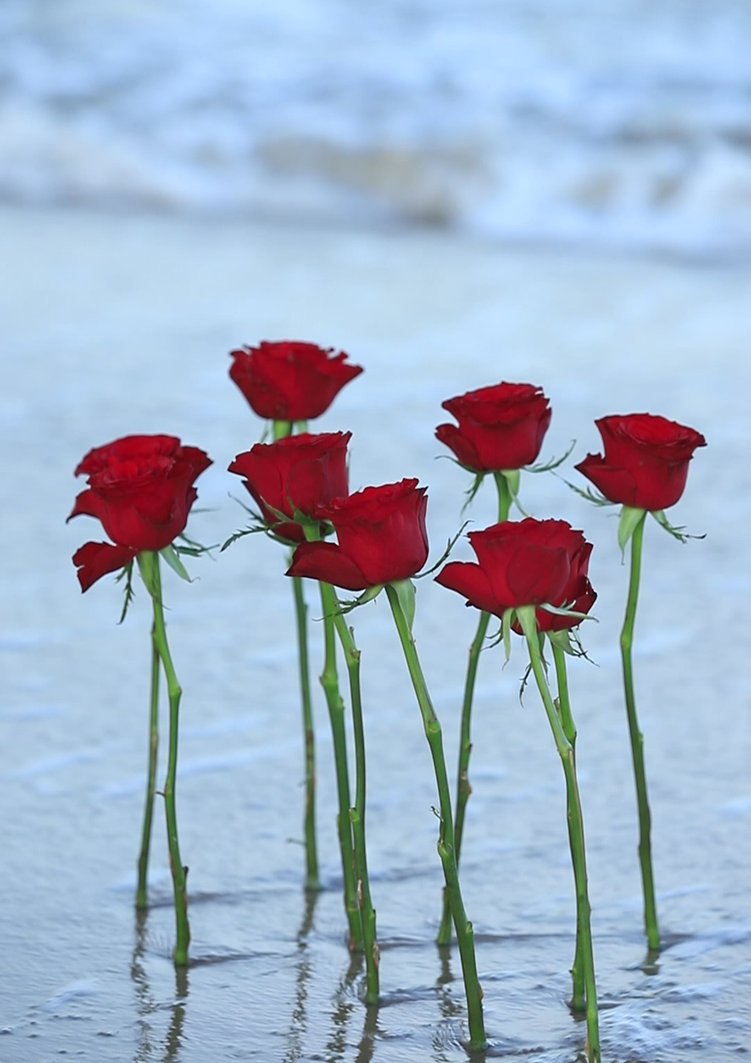 感恩节：感恩有你！