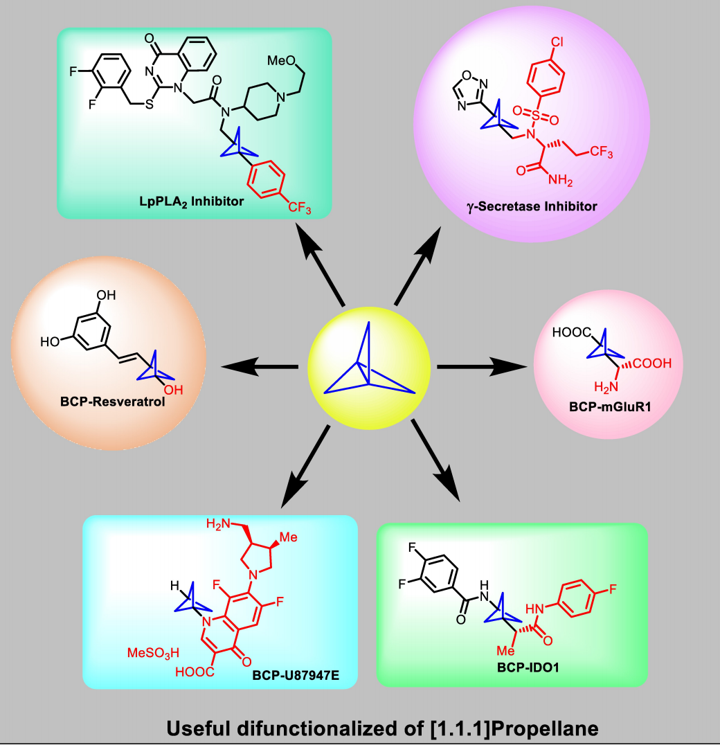 BCP系列分子砌块的设计与合成 第5张