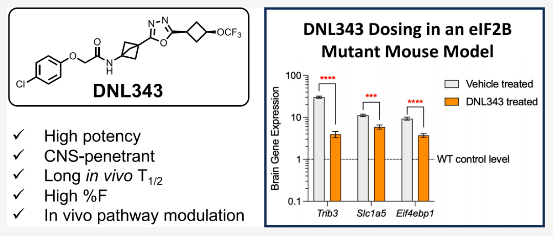 BCP系列分子砌块的设计与合成 第2张