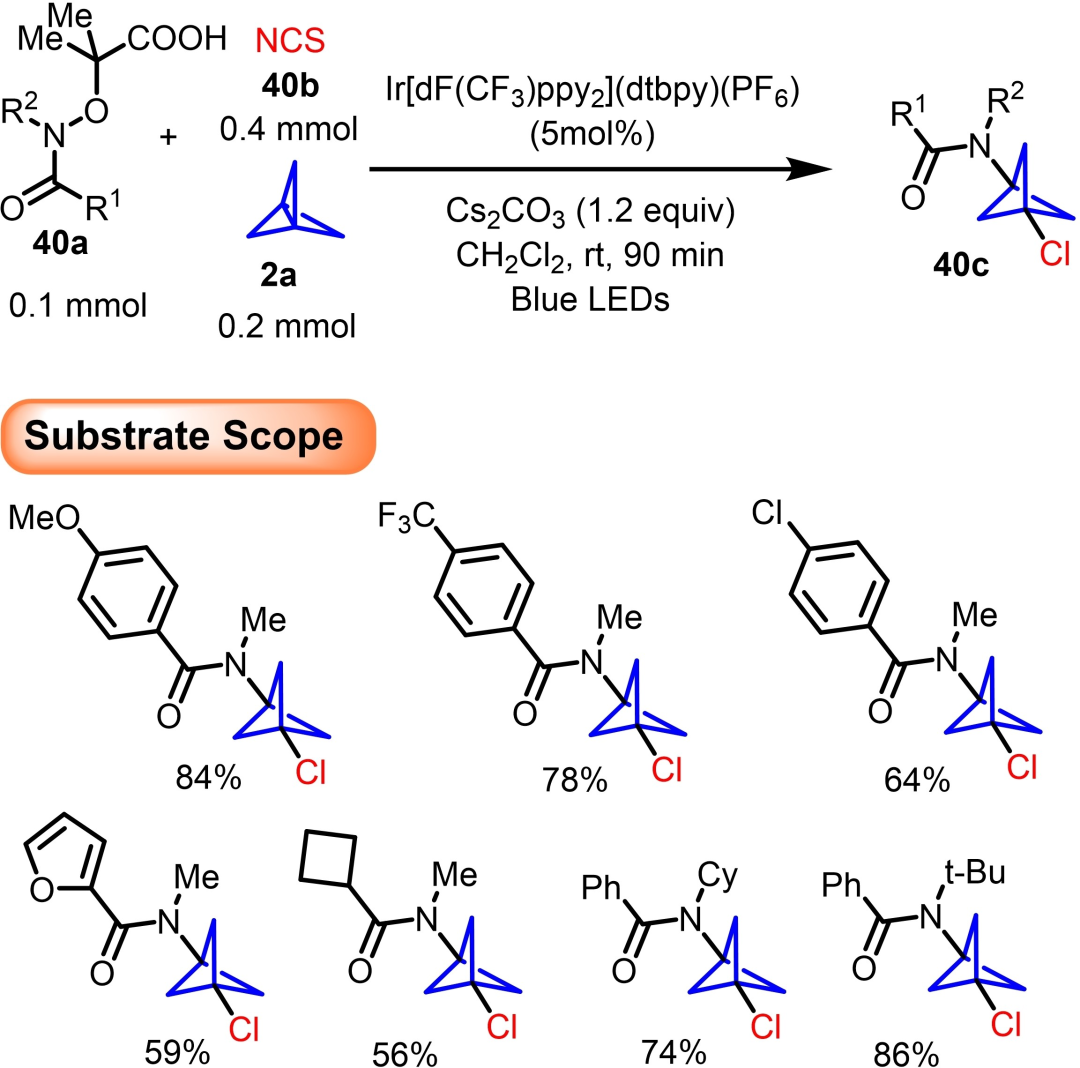 BCP系列分子砌块的设计与合成 第20张