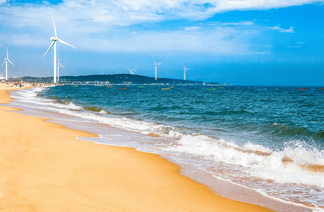 hey～洗海澡吗?来沙滩偶遇"巧克力大爷"