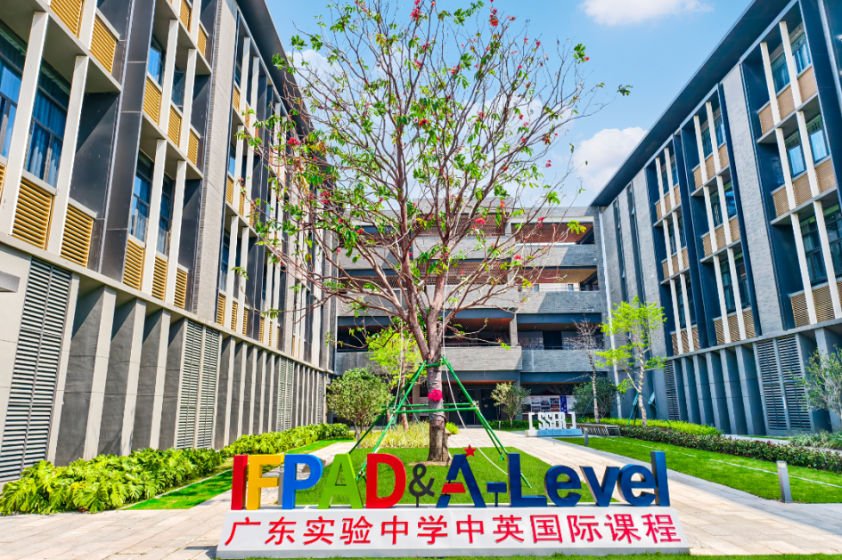 广东实验中学 校园环境 树