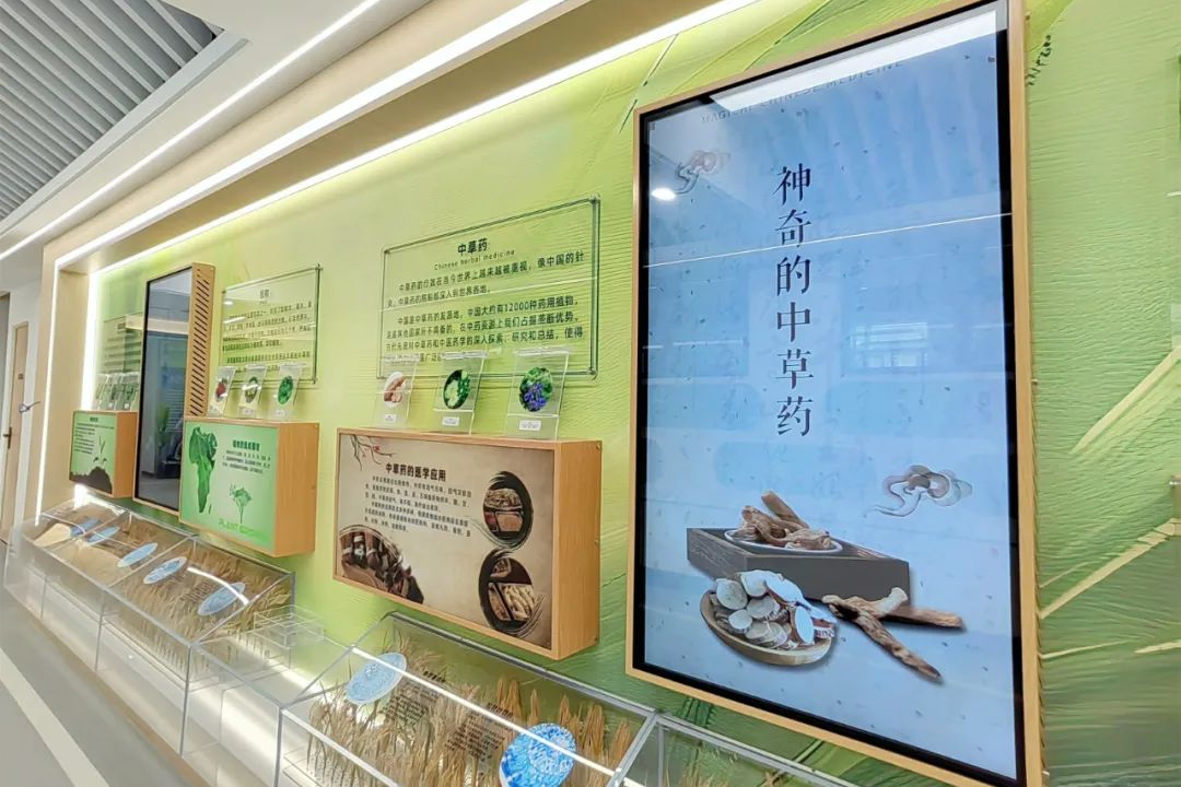 广东实验中学白云校区