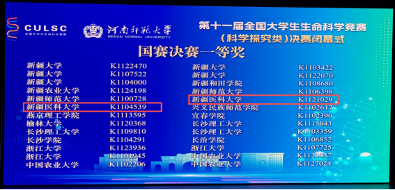 3B1FB