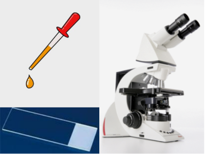 病理切片快递怎么包装蜡块、白片、胶片，血液、胸腹水、脑脊液，这么多标本，凌乱了吗？【附标本获取、邮寄包装注意事项】_https://www.jmylbn.com_新闻资讯_第2张