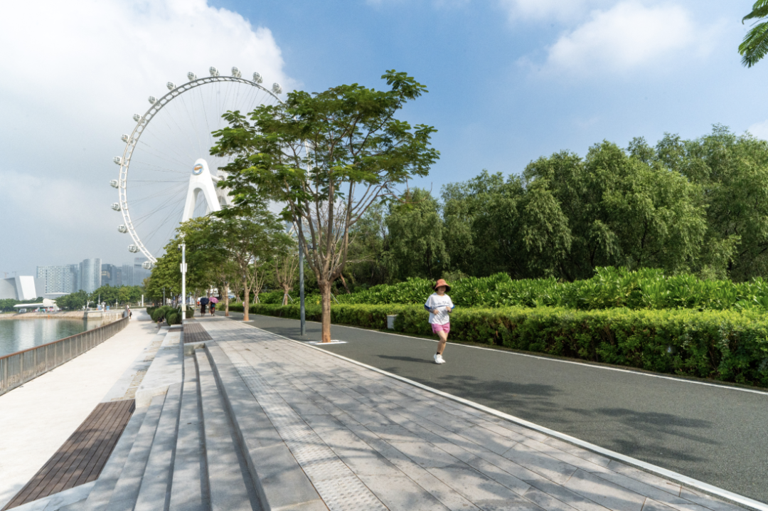 6.深圳西部滨海骑行道前海湾段.png