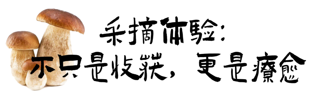 2png.png