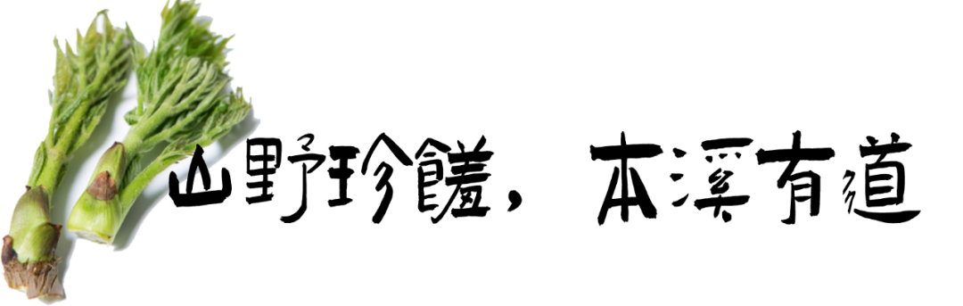 微信图片_20240426102724.png