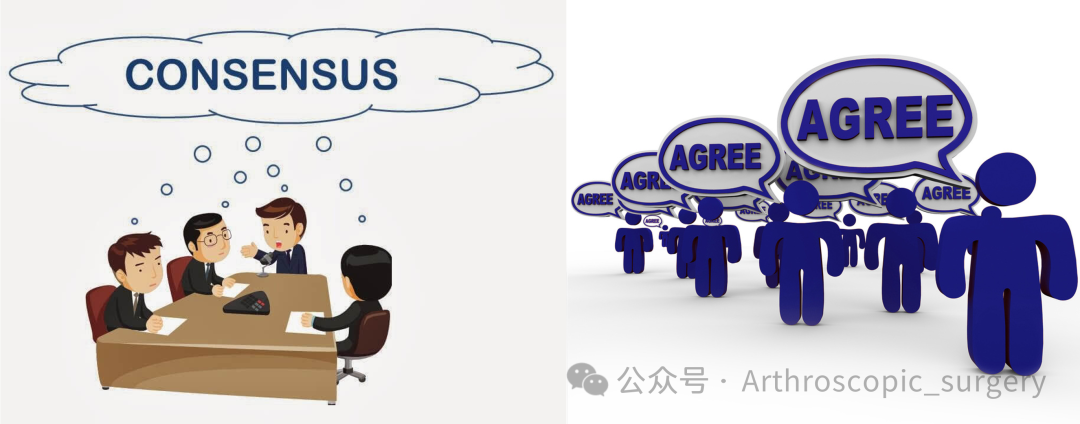 首次髌骨脱位(FTPD)的处理：ESSKA2024专家共识(一)