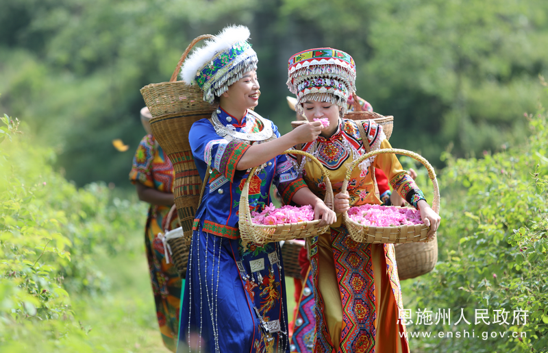 湖北所有A級景區免費啦！一直到年底 旅遊 第9張