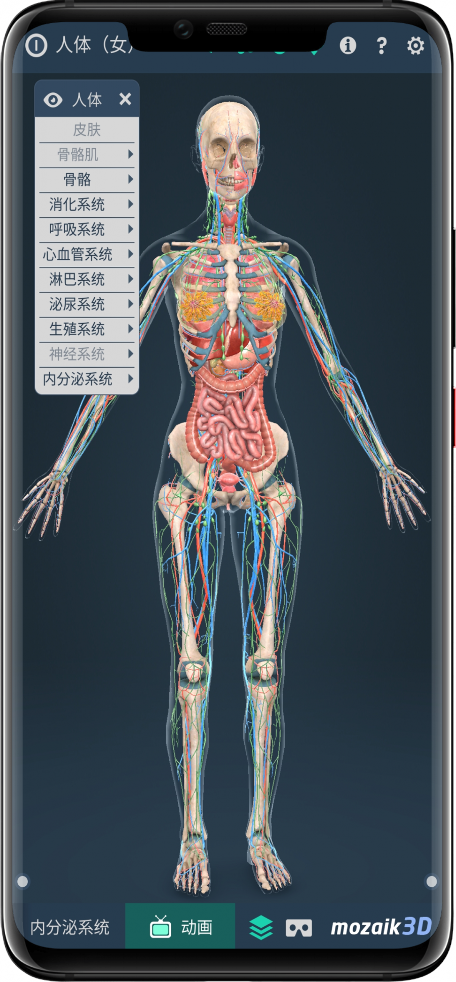 3dbody 一款支持安卓蘋果的人體解剖類軟件,具有3d仿真效果(圖9)