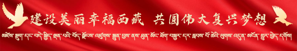曲面断层片怎么看健康宣教｜智慧牙到底要不要拔？看完这篇不纠结_https://www.jmylbn.com_新闻资讯_第1张