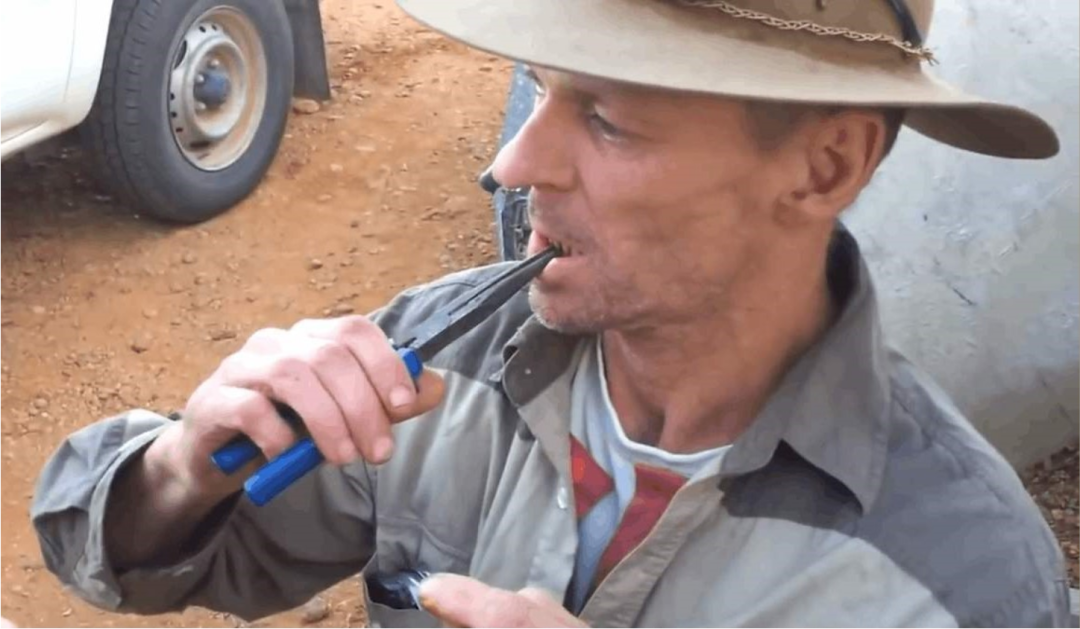 医用钳子怎么拿钳子拔牙、乳牙龋齿……医生：别拿乳牙不当牙，这份护牙“秘笈”请收好~_https://www.jmylbn.com_新闻资讯_第20张