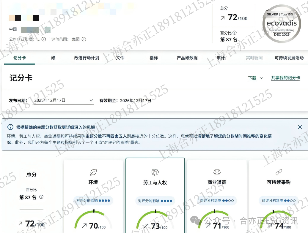 泰胜风能集团股份有限公司(1)(1)