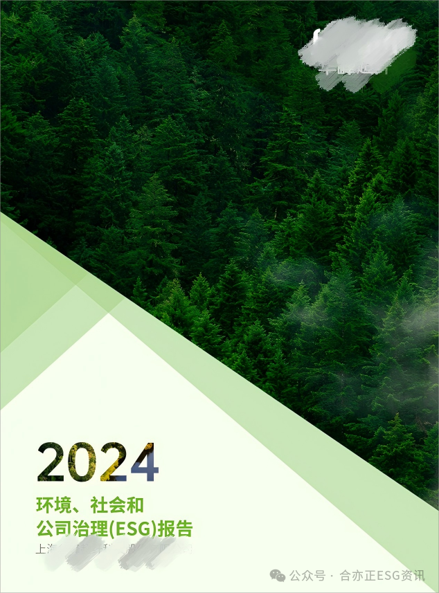 2024年华峰超纤(1)(1)