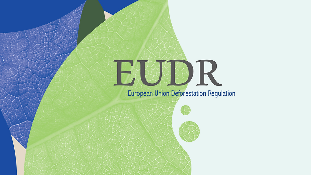 eudr（1）