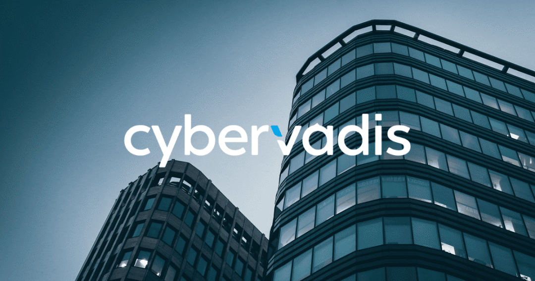 cybervadis-2