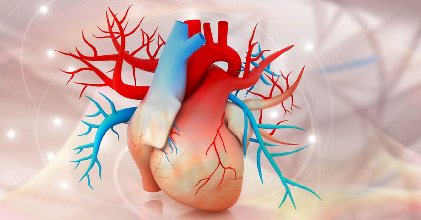 总结：活血化瘀药的运用规律