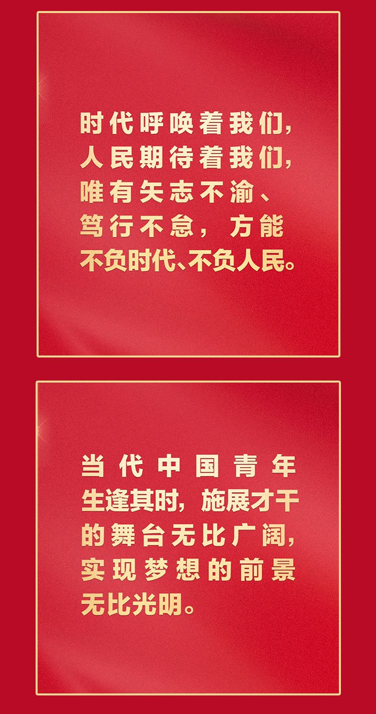 福利plus|二十大报告金句！