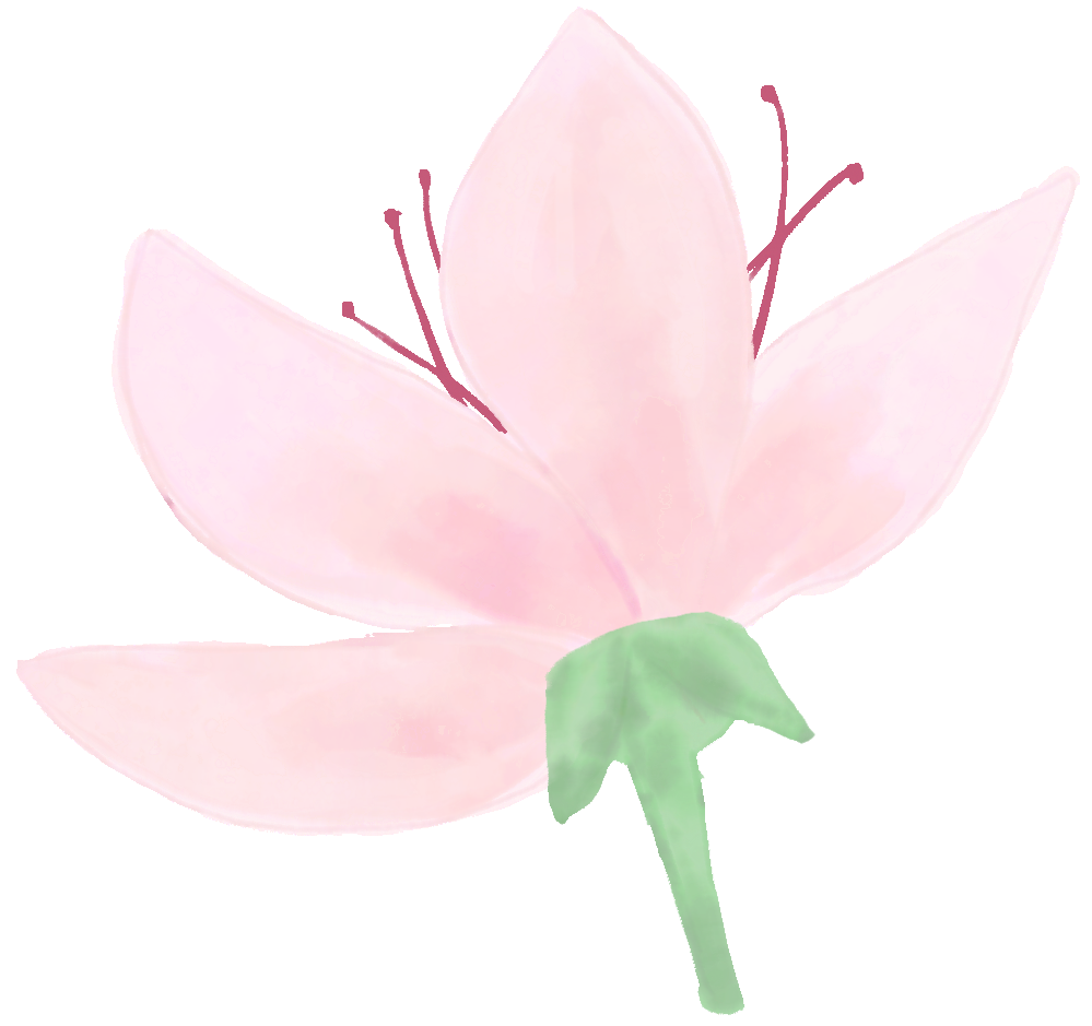 女企委动态 | “白衫映韶华 智语绽芳华”女企业家精英沙龙圆满举行