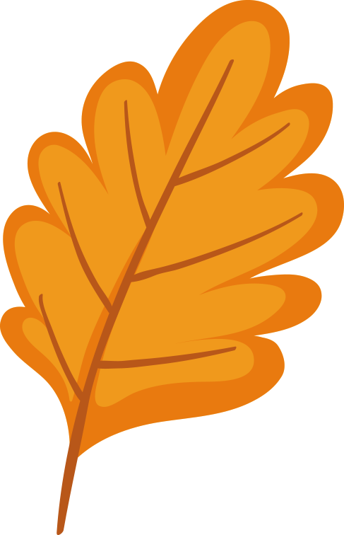 经历通红外护膝怎么用校友年货节｜希凤凰：石墨烯光波毯、长筒袜、电热护膝、抗菌内裤、羊毛保暖秋衣裤_https://www.jmylbn.com_新闻资讯_第21张