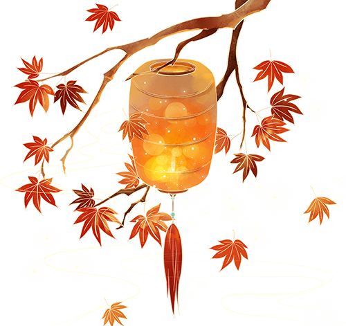 经历通红外护膝怎么用校友年货节｜希凤凰：石墨烯光波毯、长筒袜、电热护膝、抗菌内裤、羊毛保暖秋衣裤_https://www.jmylbn.com_新闻资讯_第3张