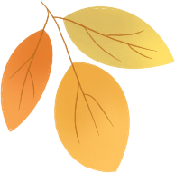 为什么医院的氧气好医疗前沿 ｜ 打造“神奇方舱” “氧”出生命活力 ——齐齐哈尔市中医医院南院高压氧科科技引领健康新生活（三）_https://www.jmylbn.com_新闻资讯_第8张