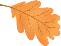 为什么医院的氧气好医疗前沿 ｜ 打造“神奇方舱” “氧”出生命活力 ——齐齐哈尔市中医医院南院高压氧科科技引领健康新生活（三）_https://www.jmylbn.com_新闻资讯_第5张