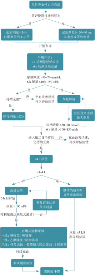3类9种常用利尿剂用法，附心衰利尿剂使用多图流程
