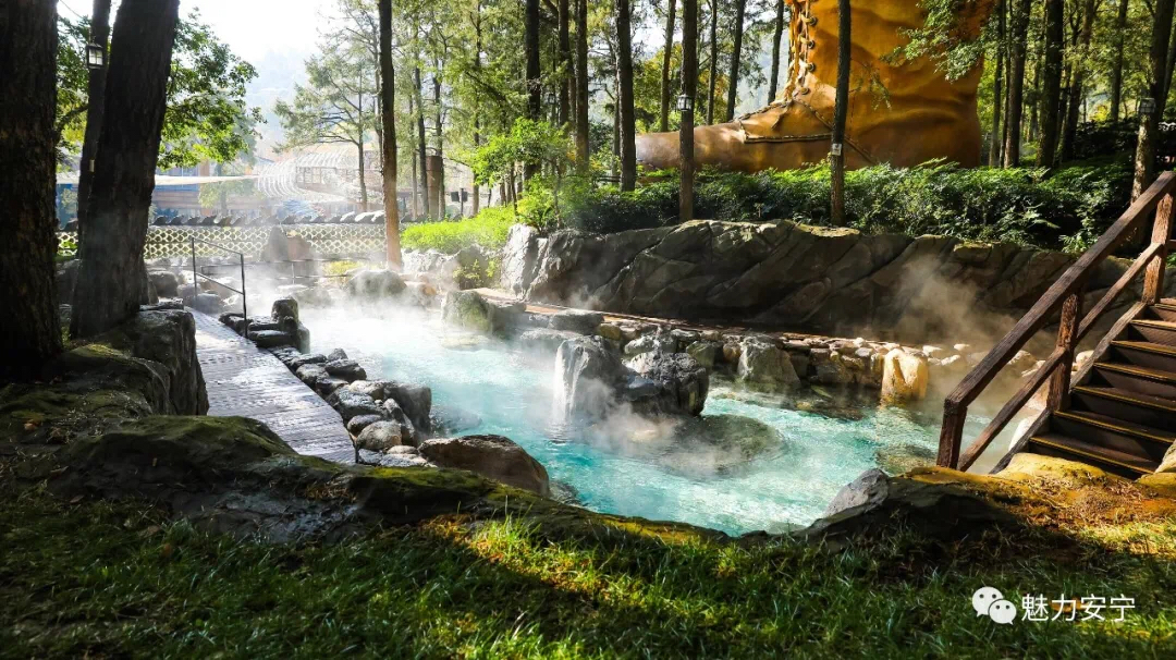 游在云南样样好